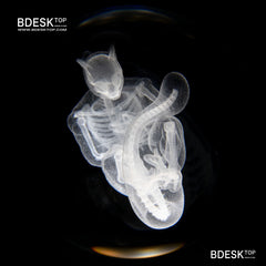 Bdesktop Crystal Skeleton Orb Lamp, Desk Night Light Gift & Collectible